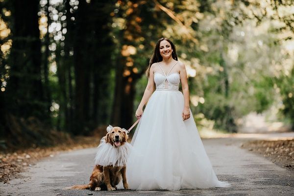 Kutya jó esküvő